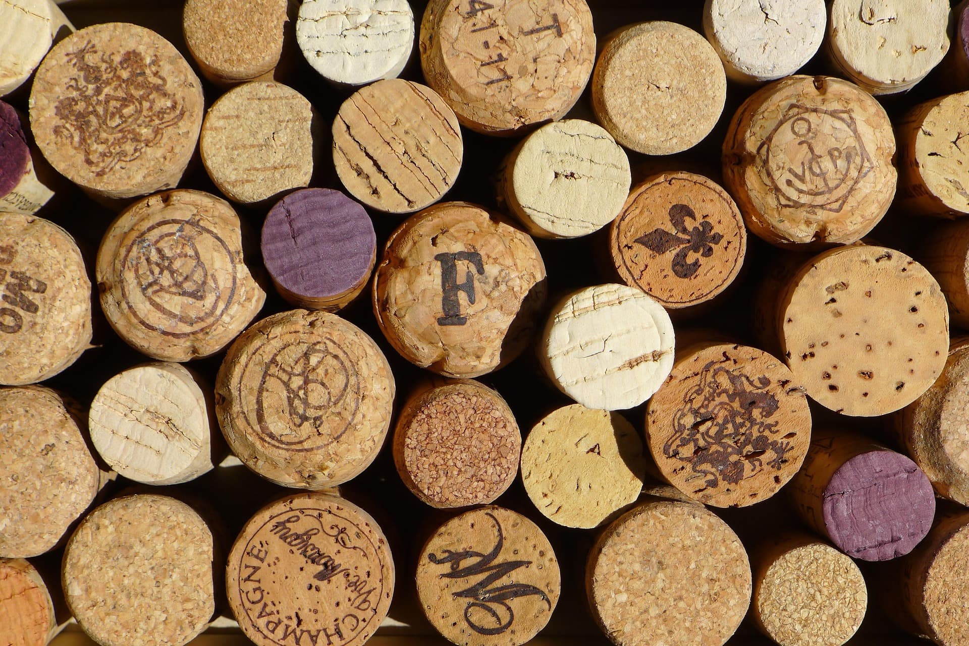 Winery Management Systems